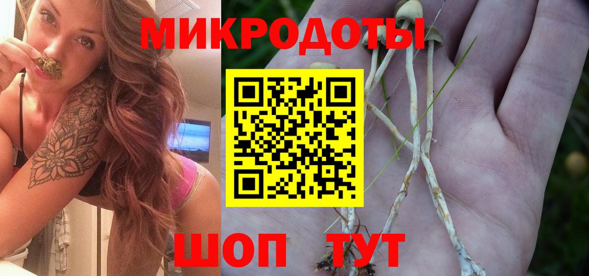 Псилоцибиновые грибы MAGIC MUSHROOMS  Вход с VPN  Вольск  Псилоцибиновые грибы GOLDEN TEACHER 